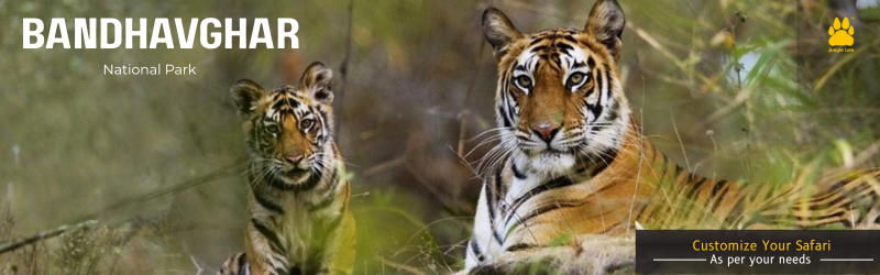 Ranthambhore National Park