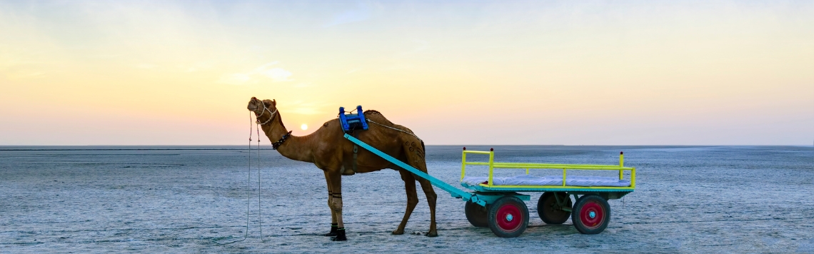 Little and Greater Rann of Kutch