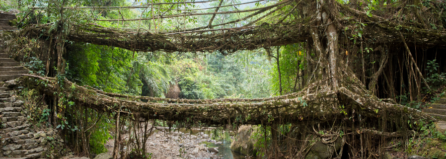 Meghalaya - Through Caves, Clouds & Canyons